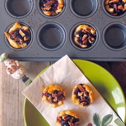 Cranberry Chutney Bites