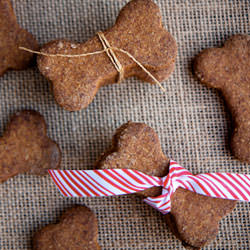 Healthy Homemade Dog Treats