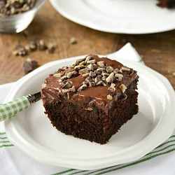 Chocolate Mint Pudding Poke Cake