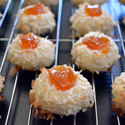 Italian Holiday Cookies