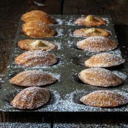 Honey & Cinnamon Madeleine
