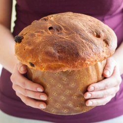 Panettone