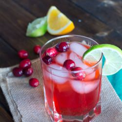 Cranberry Fizz