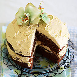 Chocolate Layer Cake with PB Icing