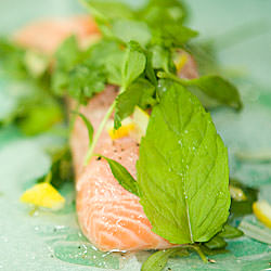 Salmon Baked with Herbs