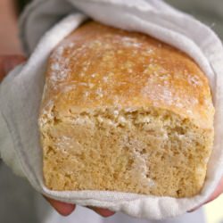 Paleo Sourdough Bread Loaf