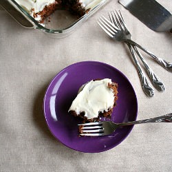 Oatmeal Chocolate Chip Cake