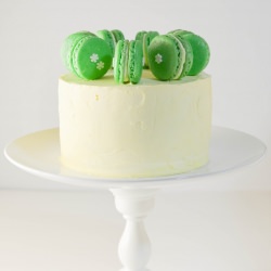 Grasshopper Macaron Cake