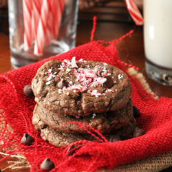 Double Chocolate Peppermint Cookies