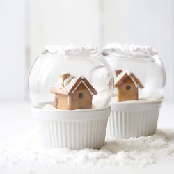 Edible Snowglobe