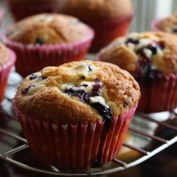 Blueberry Muffins