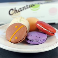 Chantal Guillon Macarons