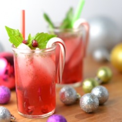 Basil Pomegranate Vodka Sipper