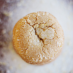 Lemondoodles