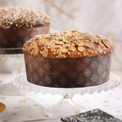 Almond Panettone