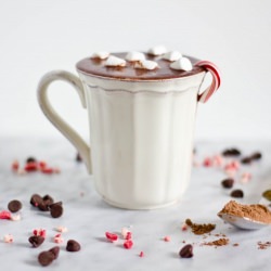 Peppermint Hot Chocolate
