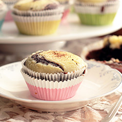Black Bottom Cupcakes