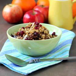 Chocolate Oatmeal with Cranberries