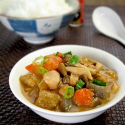 Japanese Chicken Vegetable Stew