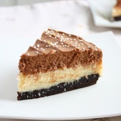 Coconut Chocolate Brownie Cake