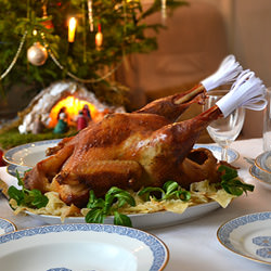 Basic Roast Turkey