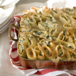 Coral Rigatoni