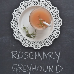 Rosemary Greyhounds