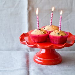 Pannetone Muffins