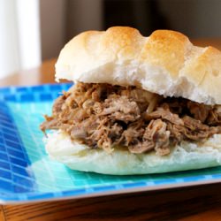 North Carolina Style Pulled Pork