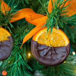 Oranges with Chocolate
