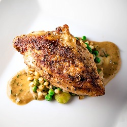 Sauteed Chicken