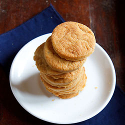 Whole Wheat Cheddar Cheese Biscuits