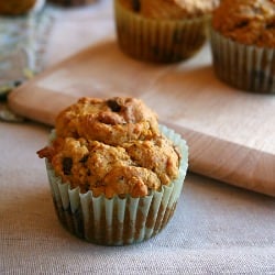 Pumpkin Chip Oat Muffins