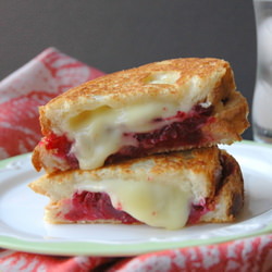 Cranberry Brie Grilled Cheese