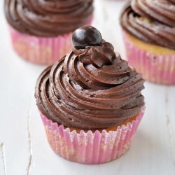 Vanilla Cupcakes