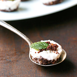 Frozen Mint Chocolate Tarts