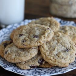 Cran-Chocolate Chip Cookies