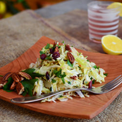 Cabbage Cranberry Pecan Salad