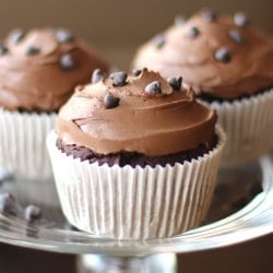 Skinny Chocolate Cupcakes