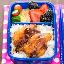 Chicken Katsu Bento