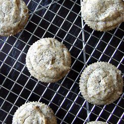 Lemon Poppy Seed Biscuits