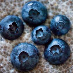 Chia Seed Pudding