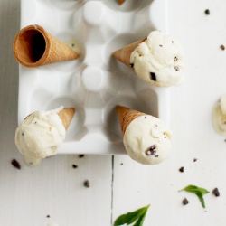 Cacao Nib And Mint Frozen Yogurt
