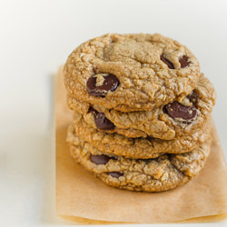Chocolate Chip Cookie Butter Cookie