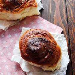 Easy Dinner Rolls