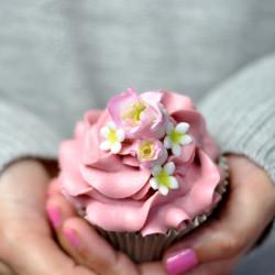 Vanilla Cupcakes