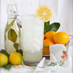 Kaffir Lime and Meyer Lemonade