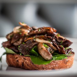 Mushrooms on Toast
