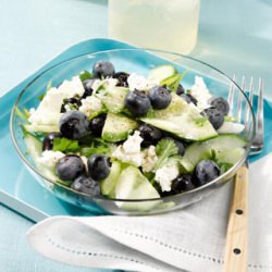 Blueberry Cucumber Salad