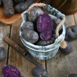 Roasted Purple Potato Salad